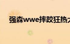 强森wwe摔跤狂热大赛2019 强森wwe 