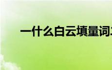 一什么白云填量词二年级 一什么白云 