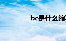 bc是什么缩写 bc是什么 