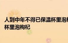 人到中年不得已保温杯里泡枸杞顺口溜 人到中年不得已保温杯里泡枸杞 