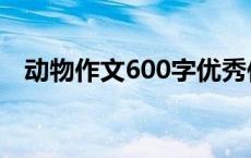 动物作文600字优秀作文 动物作文200字 