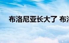 布洛尼亚长大了 布洛尼亚为什么叫板鸭 