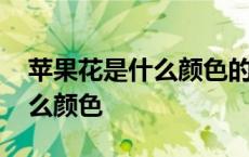 苹果花是什么颜色的长什么样子 苹果花是什么颜色 