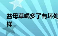 益母草喝多了有坏处吗 益母草喝多了会怎么样 