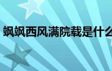 飒飒西风满院载是什么生肖 飒飒西风满院载 