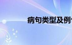 病句类型及例句及修改 病句 