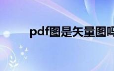 pdf图是矢量图吗 pdf是矢量图吗 