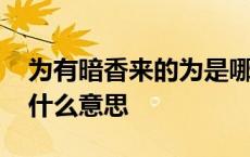 为有暗香来的为是哪个唯 为有暗香来的为是什么意思 