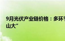 9月光伏产业链价格：多环节酝酿涨价，但组件需求“压力山大”