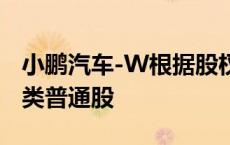 小鹏汽车-W根据股权激励计划发行3.2万股A类普通股