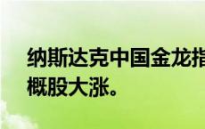 纳斯达克中国金龙指数收涨4.94%，热门中概股大涨。