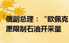 俄副总理：“欧佩克+”成员国将在12月前自愿限制石油开采量