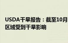 USDA干旱报告：截至10月1日当周 约26%的美国大豆种植区域受到干旱影响