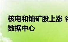 核电和铀矿股上涨 谷歌称考虑购买核电用于数据中心