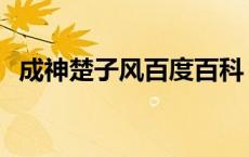 成神楚子风百度百科 成神楚子风几个老婆 