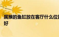 属猴的鱼缸放在客厅什么位置最好 鱼缸放在客厅什么位置最好 