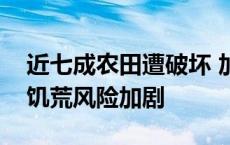 近七成农田遭破坏 加沙地带人道主义危机和饥荒风险加剧