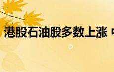 港股石油股多数上涨 中国油气控股涨超50%