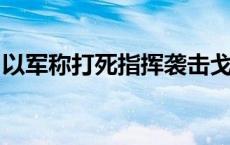 以军称打死指挥袭击戈兰高地的黎真主党成员