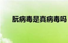 朊病毒是真病毒吗 朊病毒是不是病毒 