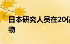 日本研究人员在20亿年前岩石中发现活微生物