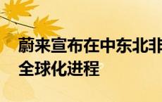 蔚来宣布在中东北非市场开展业务 加速推进全球化进程