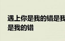 遇上你是我的错是我多情种下的因果 遇上你是我的错 