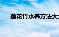 莲花竹水养方法大全 莲花竹水养方法 