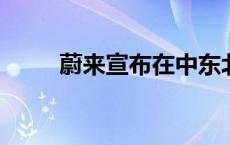 蔚来宣布在中东北非市场开展业务