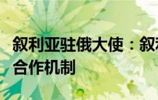 叙利亚驻俄大使：叙利亚已申请加入金砖国家合作机制