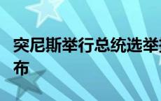 突尼斯举行总统选举投票 初步结果预计7日公布