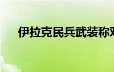 伊拉克民兵武装称对戈兰高地发动袭击