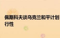 佩斯科夫谈乌克兰和平计划：有大量的报道但没有一个有可行性