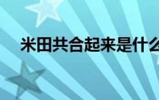 米田共合起来是什么字 米田共什么意思 