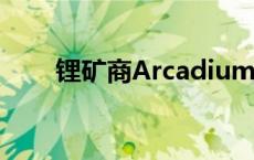 锂矿商Arcadium确认力拓收购计划