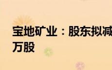 宝地矿业：股东拟减持公司股份不超过2700万股