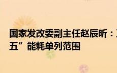 国家发改委副主任赵辰昕：正研究一些重大项目纳入“十四五”能耗单列范围