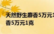 天然野生麝香5万元1克是真的吗 天然野生麝香5万元1克 