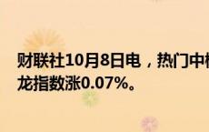 财联社10月8日电，热门中概股涨跌不一，纳斯达克中国金龙指数涨0.07%。