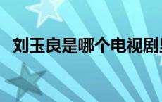 刘玉良是哪个电视剧里的人物 刘玉良市长 