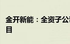 金开新能：全资子公司拟投资建设智算中心项目