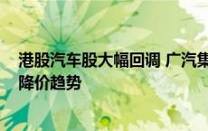 港股汽车股大幅回调 广汽集团跌幅16%领衔 价格战固化成降价趋势