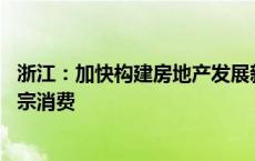 浙江：加快构建房地产发展新模式 提振汽车、电子产品等大宗消费