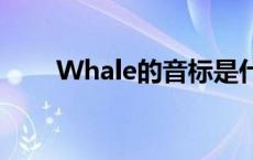 Whale的音标是什么 whale的音标 