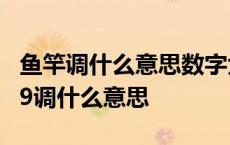 鱼竿调什么意思数字大的好还是小的好 鱼竿19调什么意思 