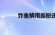 炸鱼鳞用面粉还是淀粉 炸鱼鳞 