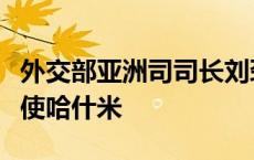 外交部亚洲司司长刘劲松会见巴基斯坦驻华大使哈什米