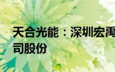 天合光能：深圳宏禹计划减持不超过0.5%公司股份