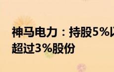 神马电力：持股5%以上股东陈小琴拟减持不超过3%股份