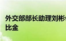 外交部部长助理刘彬会见乌克兰驻华大使里亚比金